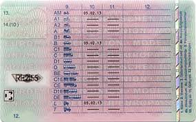 B96 Führerschein Kaufen